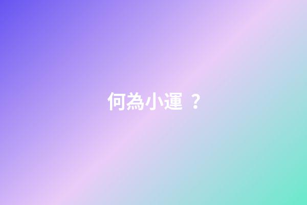 何為小運？